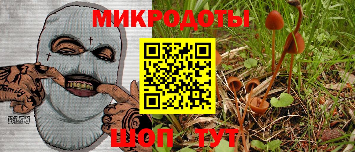 Галлюциногенные грибы Cubensis  Вход с VPN  Гай  Галлюциногенные грибы Psilocybine cubensis 