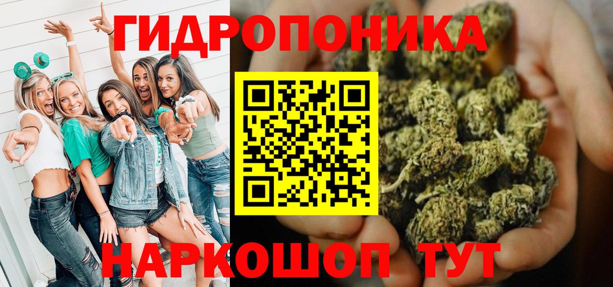 Конопля гибрид Гай